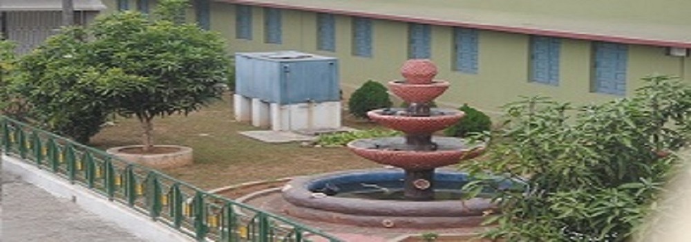 School-6
