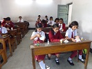 Image Here